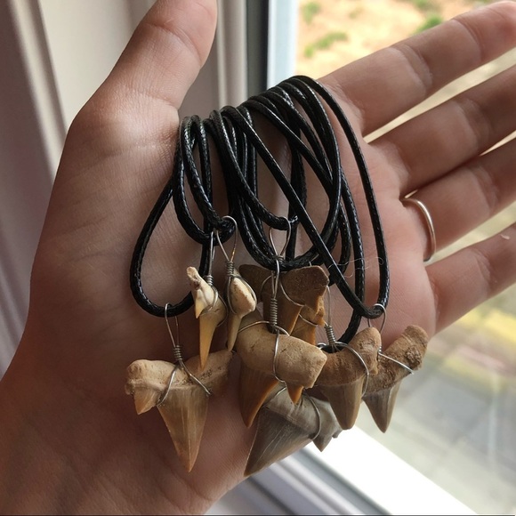 NEW Shark Tooth Leather Choker/Necklace - Picture 4 of 6